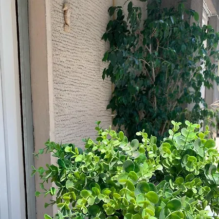 Renovated Cozy Near To Acropolis *